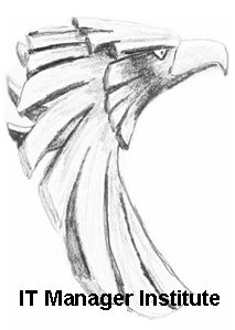 IT Manager Institute