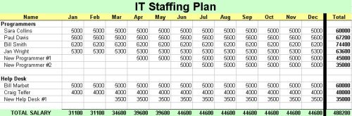 Budget_IT Staffing Plan 2